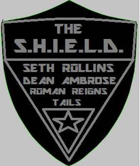 WWE Shield Logo - WWE and Sonic The Shield logo