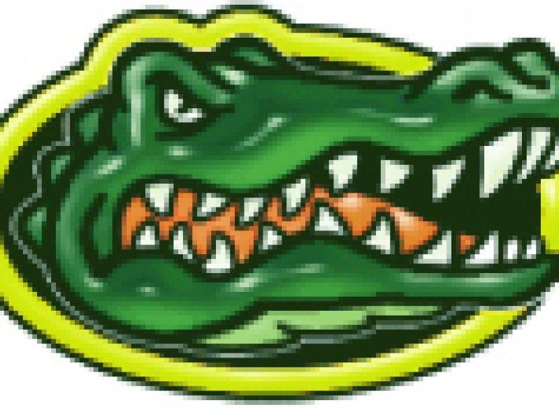 Crystal Lake South Gators Logo - CL South Seeks New Gator in Logo Contest | Algonquin, IL Patch