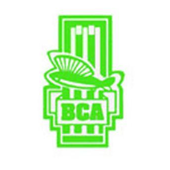 Barbados Cricket Association Logo - Nation News