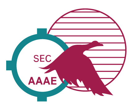 AAAE Logo - Southeast Chapter of the American Association of Airport Executives