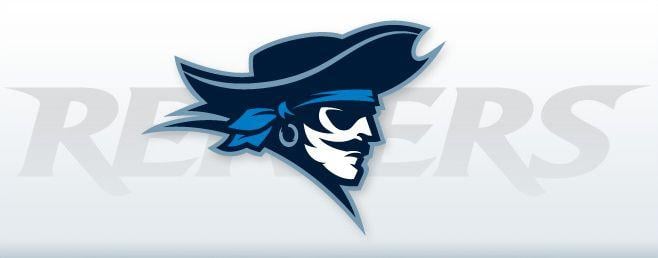 Pirate College Logo - What is a Reiver?