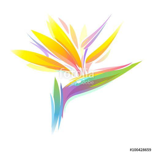 Tropical Flower Logo - Bird of paradise Strelitzia tropical flower Stock image and royalty