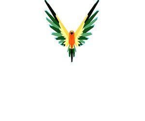 Maverick the Parrot Logo - Maverick the bird Logos