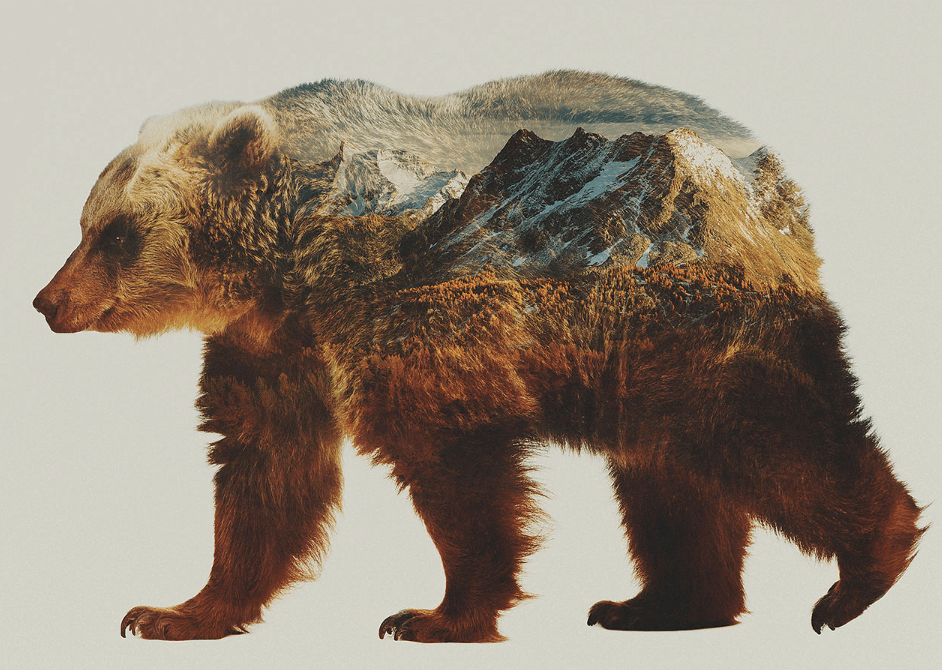 Patagonia Bear Logo - PATAGONIA RELEASES A DOCUMENTARY DEPICTING AN EPIC STRUGGLE BETWEEN ...
