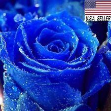 Blue Flower U Logo - Flower Seeds | eBay