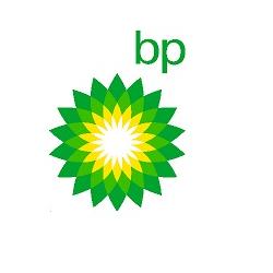 Green and Yellow Sun Logo - BP
