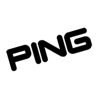 Ping Logo - Ping, download Ping - Vector Logos, Brand logo, Company logo