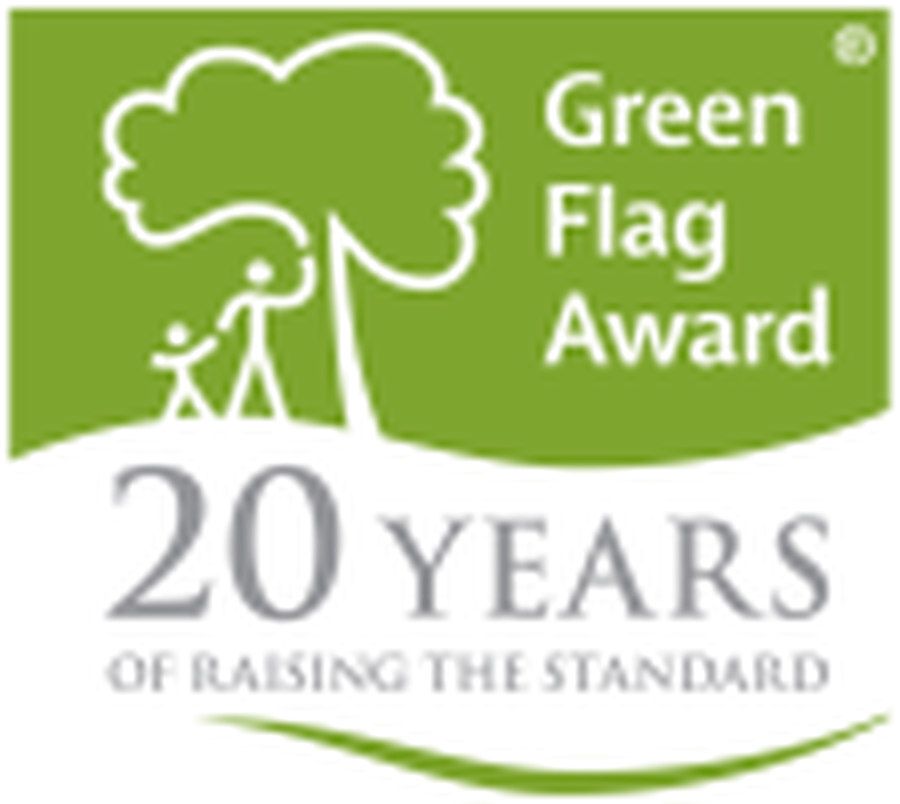Green Flag Logo - Victoria C of E Infant and Nursery School Flag Status