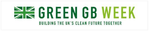 Green Flag Logo - Legal row over government's flag logo - BBC News