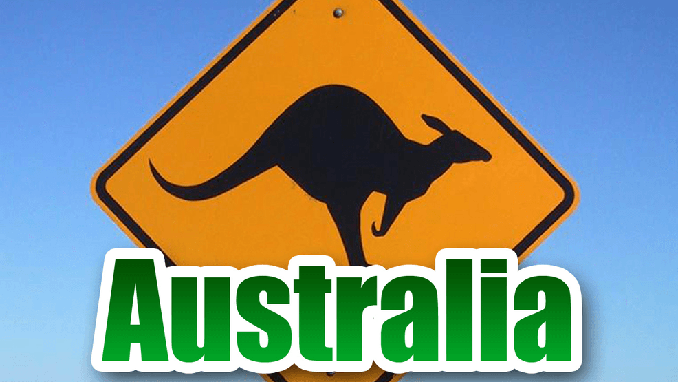 Kangaroo Soccer Logo - Kangaroo stops play during Australian women's soccer match