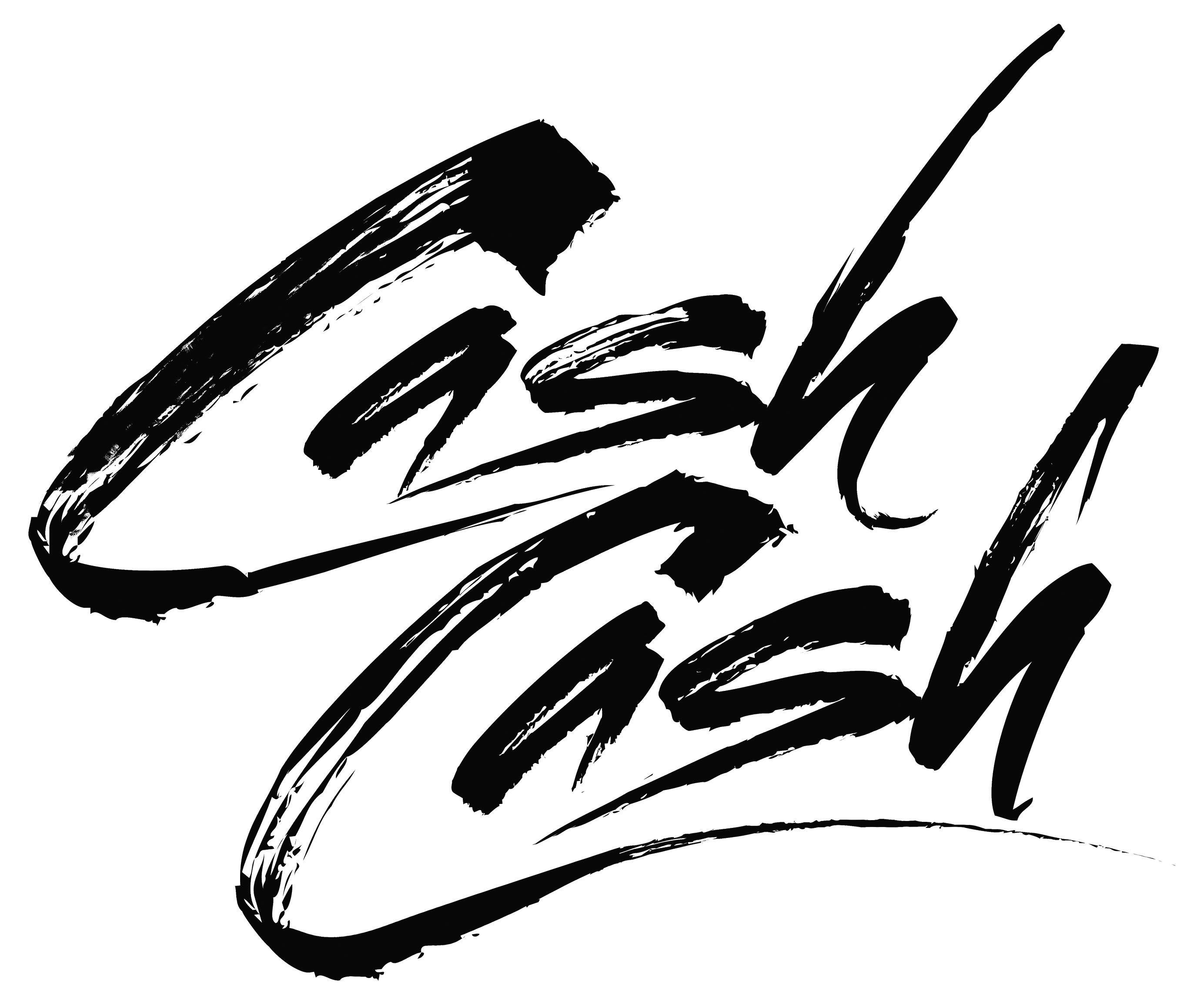 Cash Logo - Big Beat Press | CASH CASH