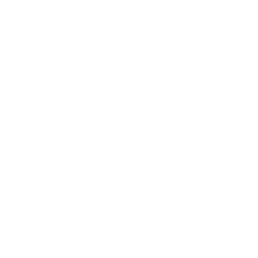 Pro Basketball Logo - Vancouver Pro-Am Basketball