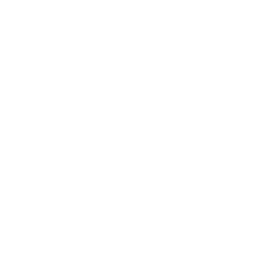 Pro Basketball Logo - Vancouver Pro Am Basketball