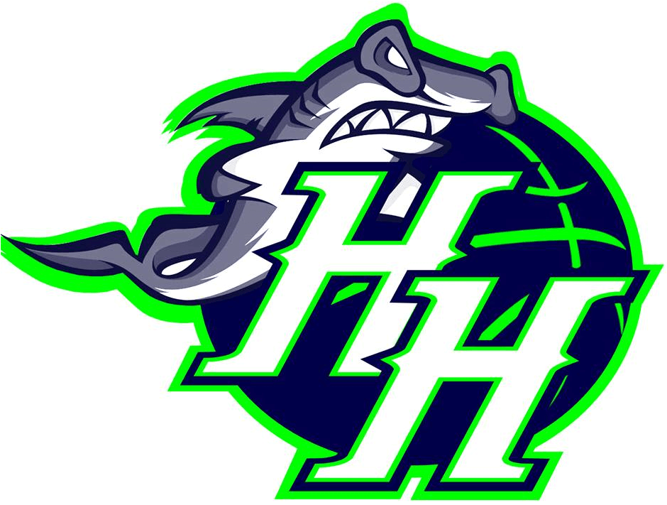 Pro Basketball Logo - Hawaii Hammerheads Primary Logo - American Basketball Association ...