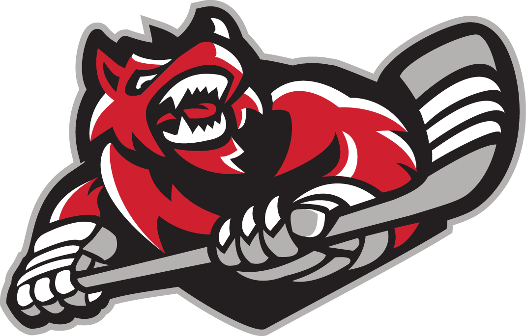 Havoc Logo - Huntsville Havoc Secondary Logo - Southern Pro Hockey League (SPHL ...