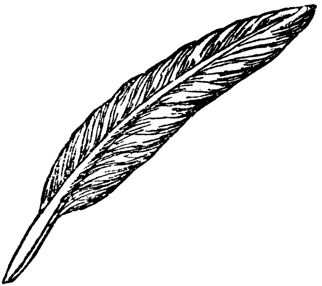 Black and White Quill Logo - Free White Quill Cliparts, Download Free Clip Art, Free Clip Art on ...
