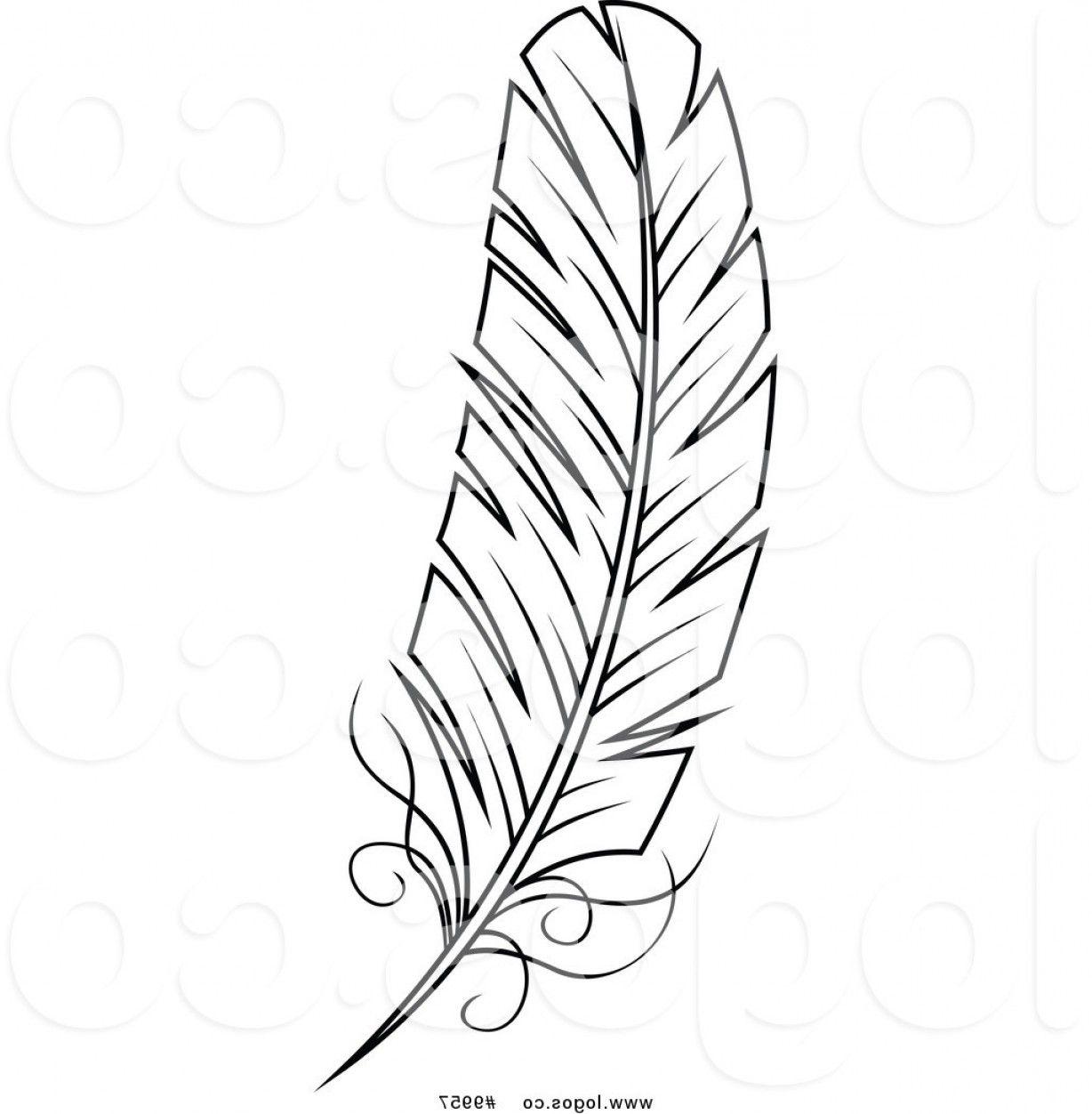 Black and White Quill Logo - Royalty Free Clip Art Vector Black And White Feather Logo By Vector