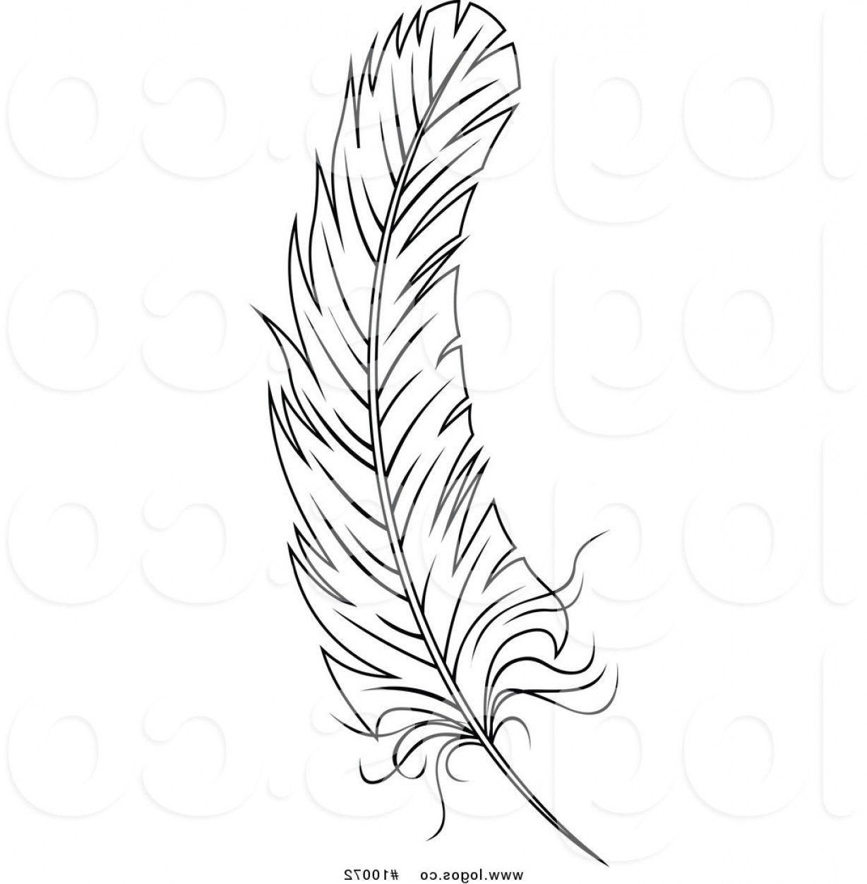 Black and White Quill Logo - Royalty Free Vector Of A Black And White Feather Logo By Vector ...