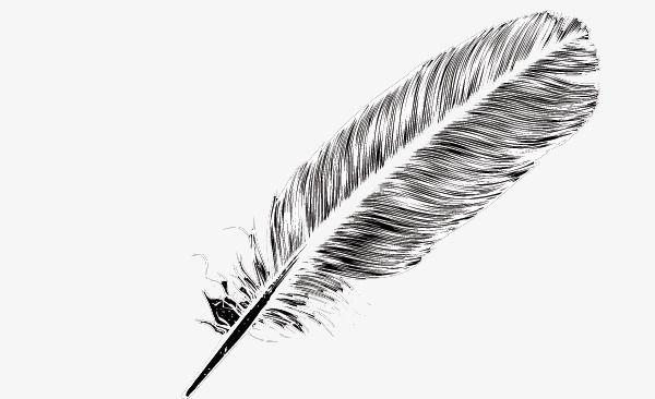 Black and White Quill Logo - Free Creative Pull A Feather, Feather, Black And White, Quill PNG