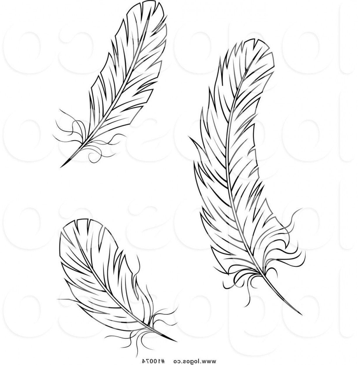 Black and White Quill Logo - Royalty Free Vector Of Black And White Feather Logos By Vector
