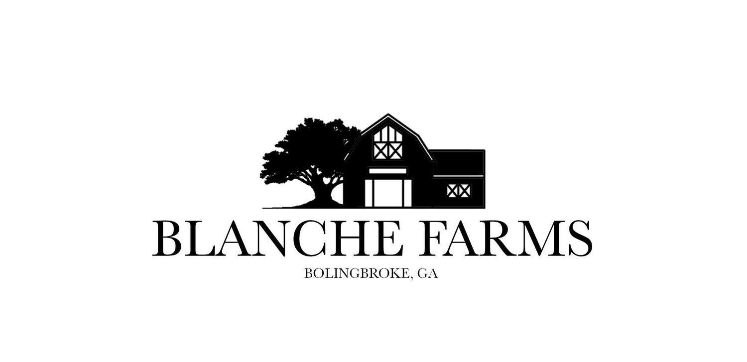 Friendly Farms Logo - Meet horses and other farm animals on our beautiful family friendly