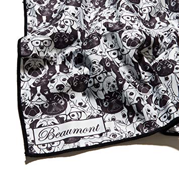 Beaumont Instrument Logo - Beaumont Instrument Cleaning Cloth - 40x30cm Lint Free, Microfiber ...