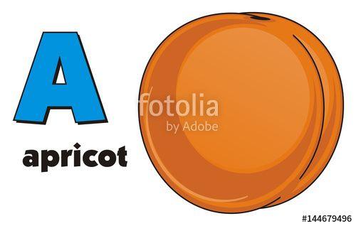 Orange Tree Circle Logo - Fruit, apricot, orange, tree, nutrition, health, cartoon, a, word ...