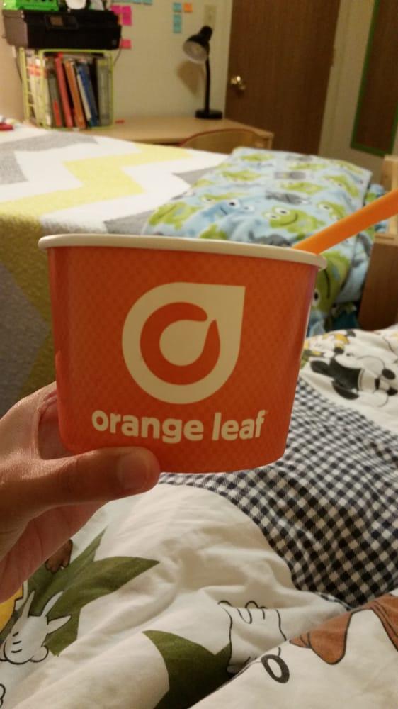 Orange Leaf Evansville Logo - Orange Leaf Frozen Yogurt S Red Bank Rd