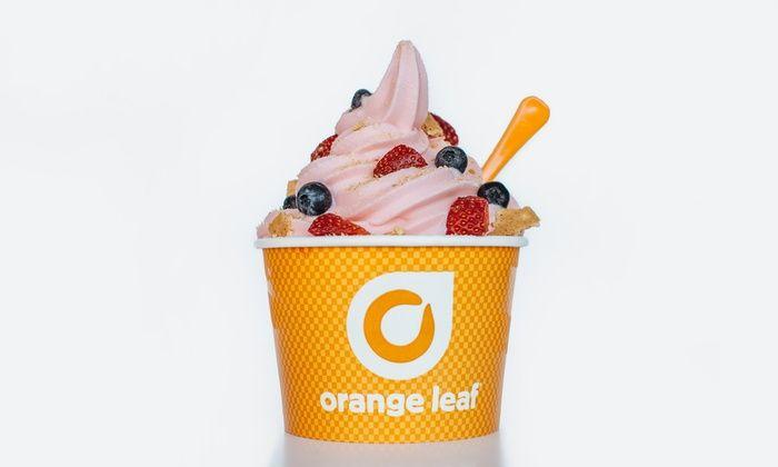 Orange Leaf Evansville Logo - Orange Leaf Frozen Yogurt, IN