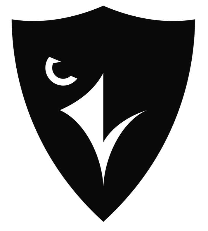 Black and White Football Logo - Ravens football png stock