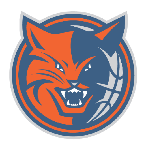 Cool Profile Logo - BobCats Logo-NBA Cool Logos Google-Plus-Avatar Profile Pictures