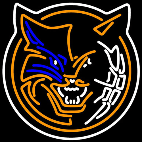 Cool Profile Logo - Charlotte Bobcats present alternate logo giant NBA Cool Logos