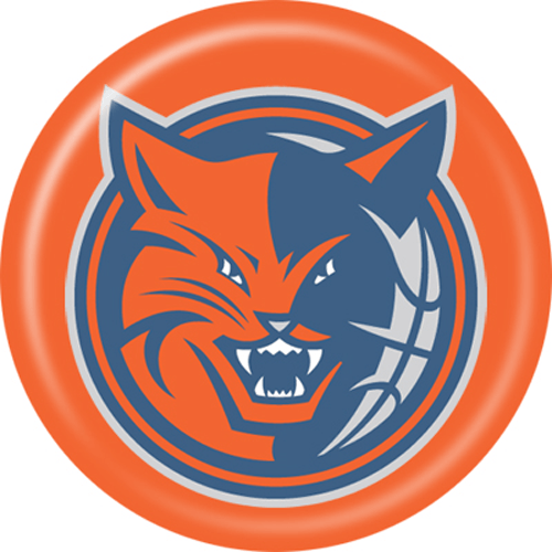 Cool Profile Logo - Charlotte bobcats NBA Cool Logos Facebook Profile Pictures