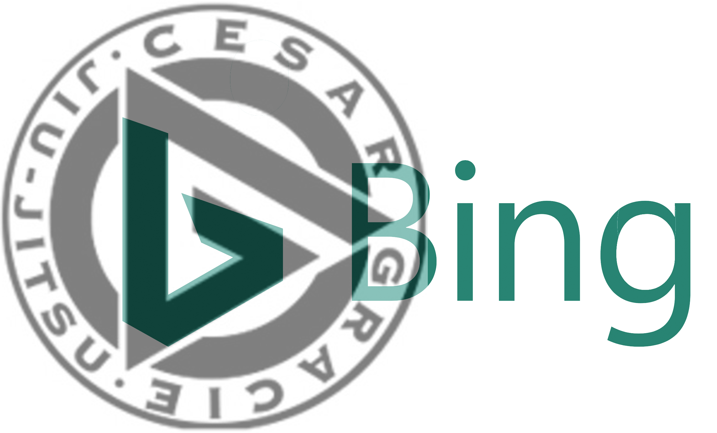 Designer of the Bing Logo - Someone at Microsoft really like