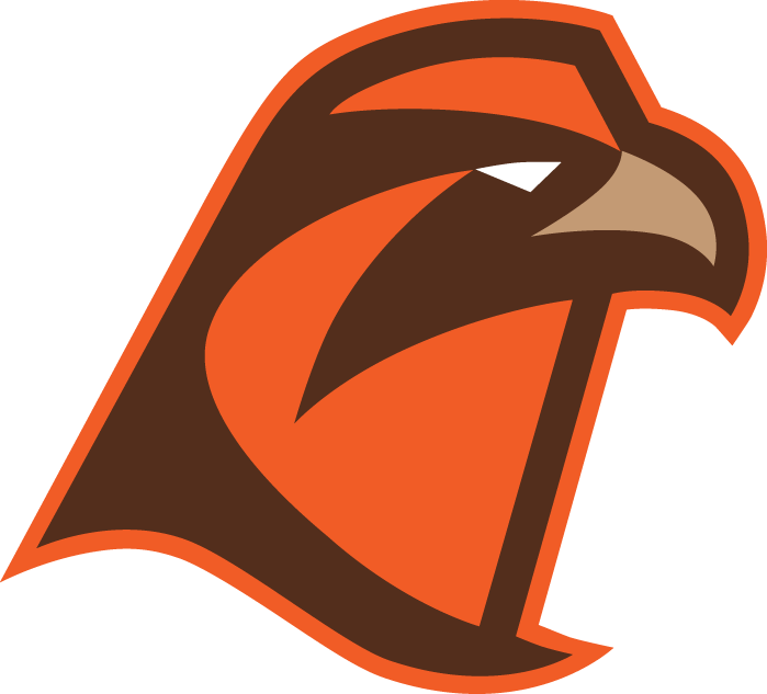 Falcons Sports Logo - Bowling Green Falcons Secondary Logo - NCAA Division I (a-c) (NCAA ...