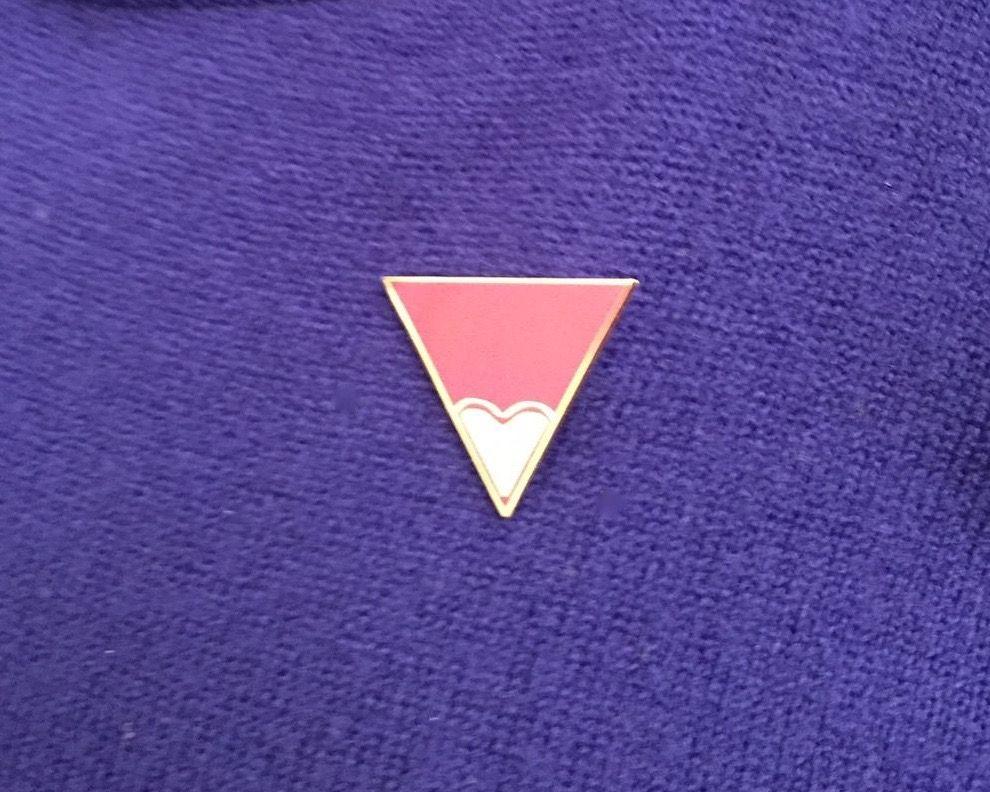 Blue with a Red Triangle Logo - international FGM symbol red triangle freedom charity