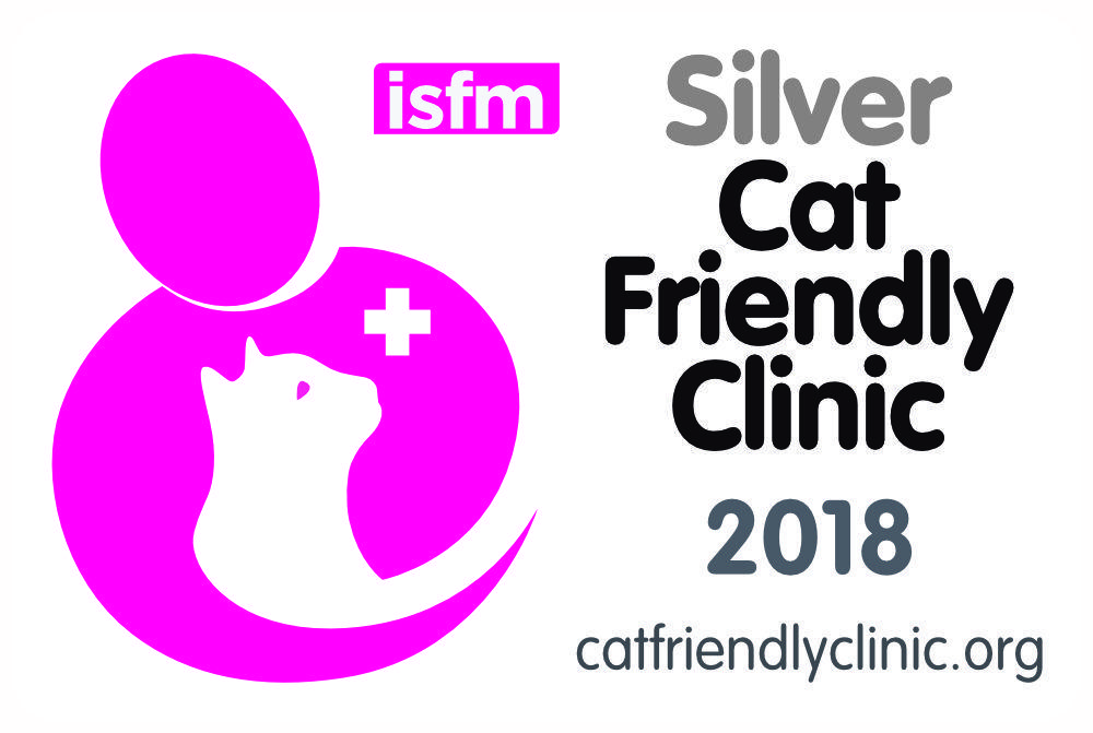 Silver and Magenta Logo - Silver logo for clinics - Windmill Veterinary Centre