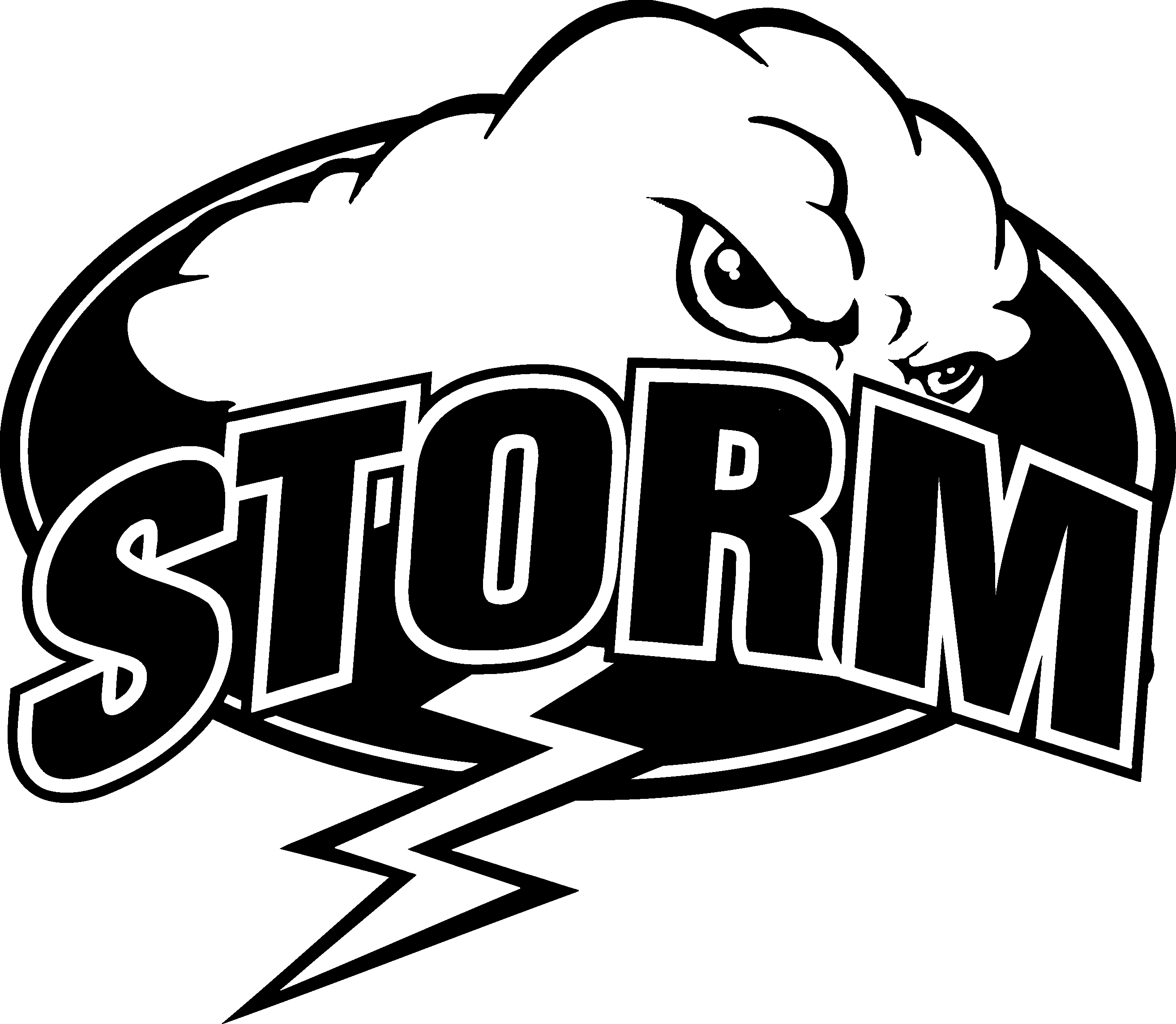 Storm Soccer Logo - Storm Logos