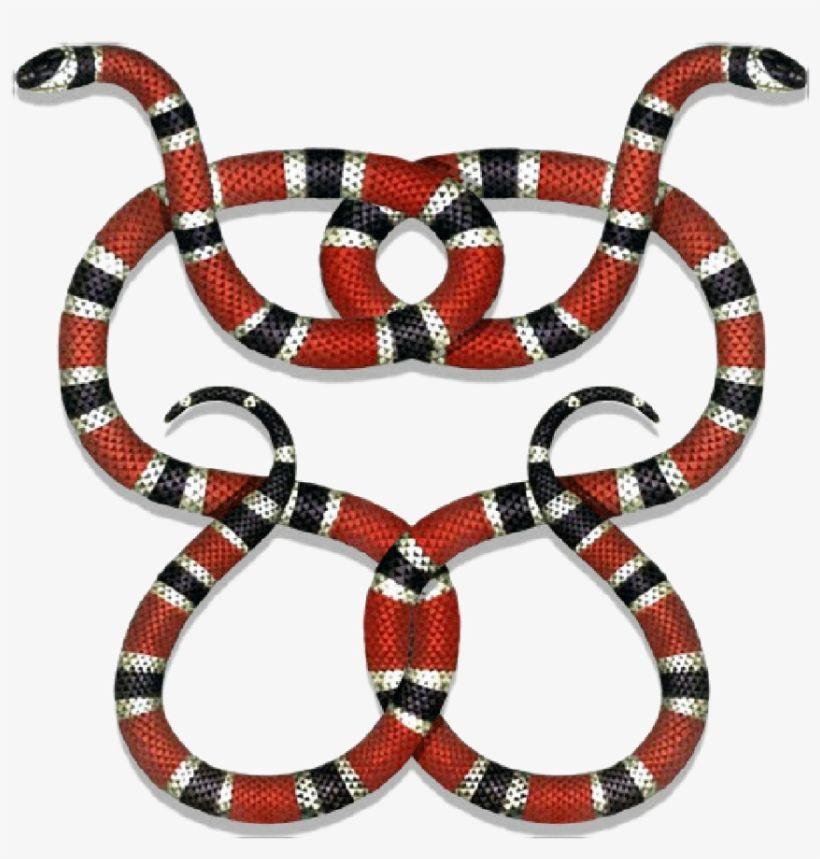 Coral Snake Gucci Logo - Gucci Guccigang Snakes Guccilogo Logo Stickerpng - Coral Snake ...