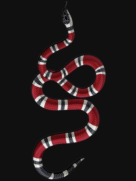 Coral Snake Gucci Logo - Gucci Snake Sweat Shirt