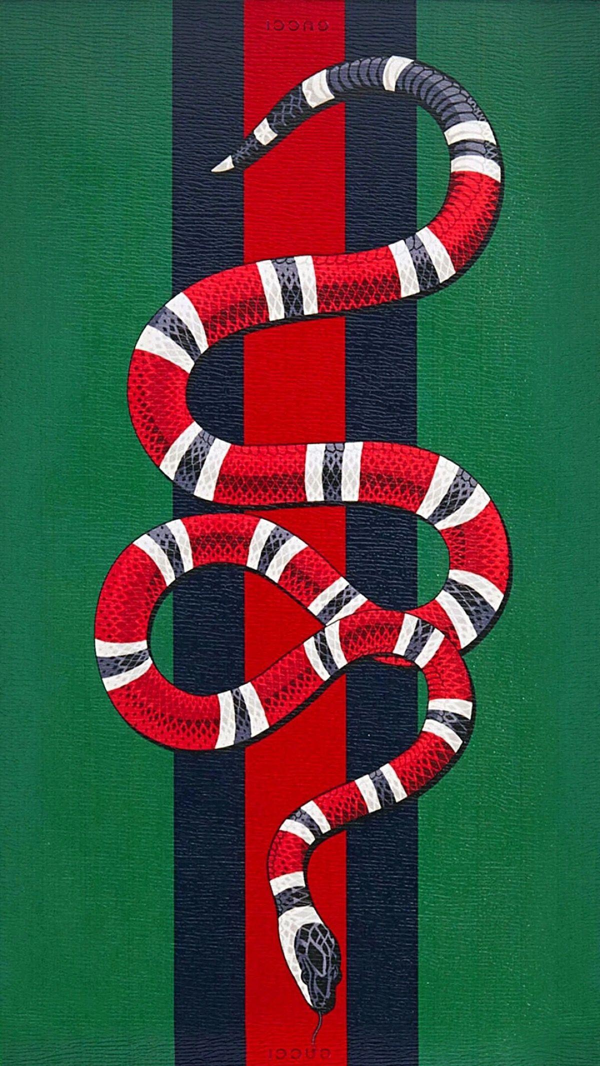 Coral Snake Gucci Logo - Snake. Gucci. Supreme wallpaper. iPhone wallpaper