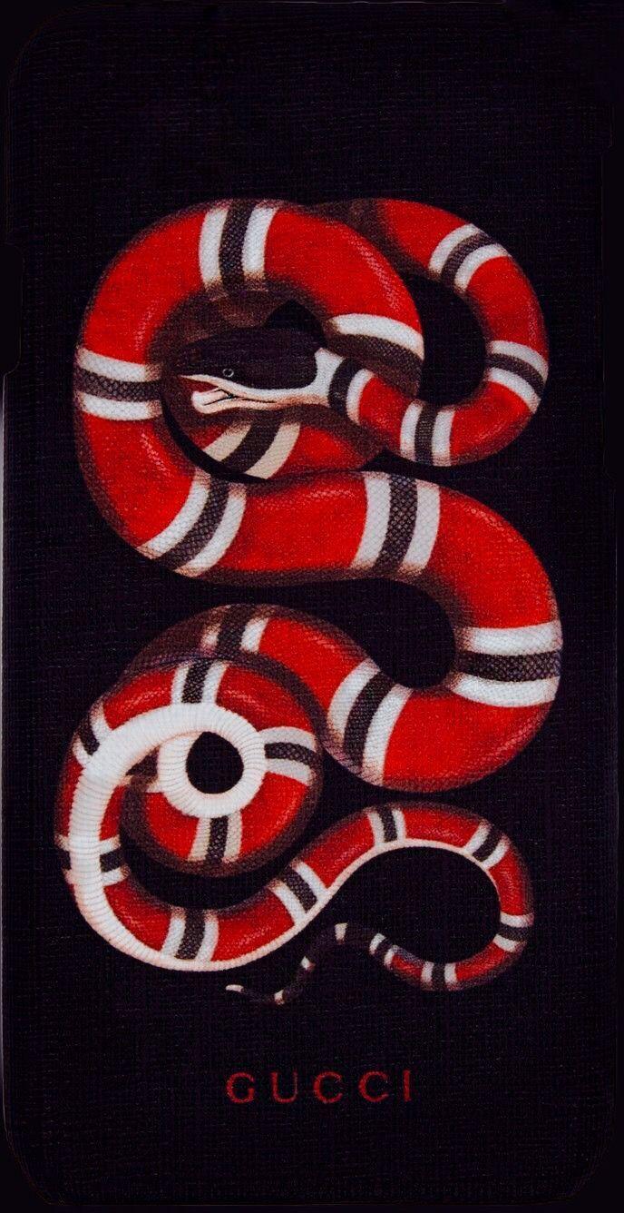 Coral Snake Gucci Logo - 55 Best Free Gucci iPhone Wallpapers - WallpaperAccess