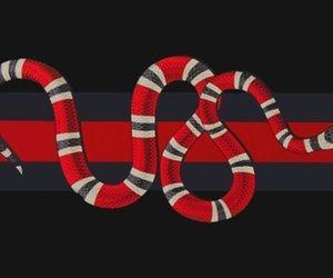 Coral Snake Gucci Logo - Gucci Clipart corn snake Free Clip Art stock illustrations