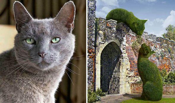 Green and Blue Cat Logo - Richard Saunders' digital art pays tribute to his cat with topiary