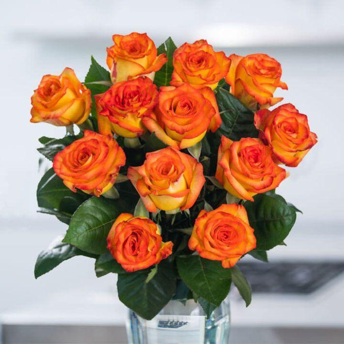 Orange and Yellow Flower Logo - Yellow & Orange Roses - Spring In The Air