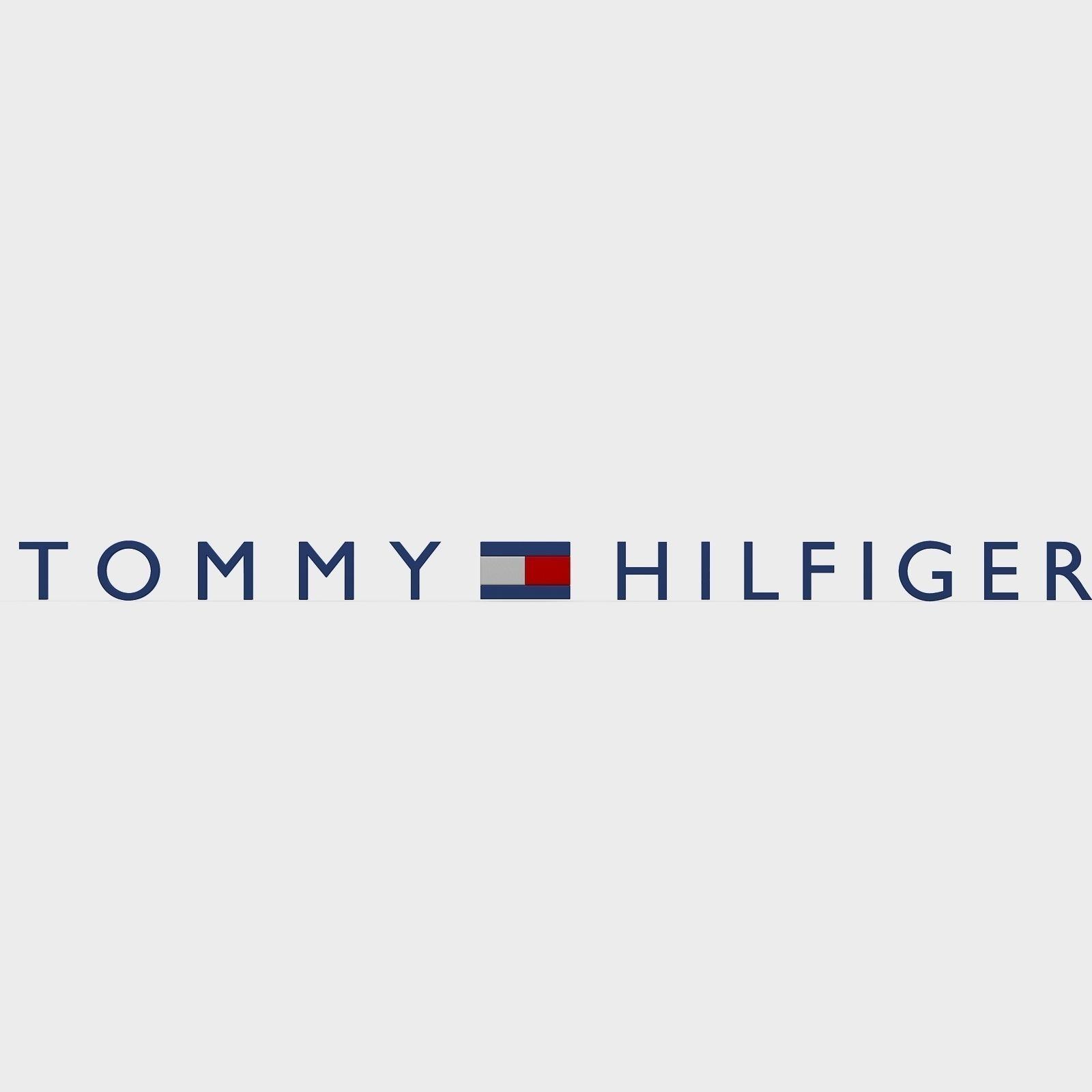 Tommy Hilfiger Logo - 3D tommy hilfiger logo