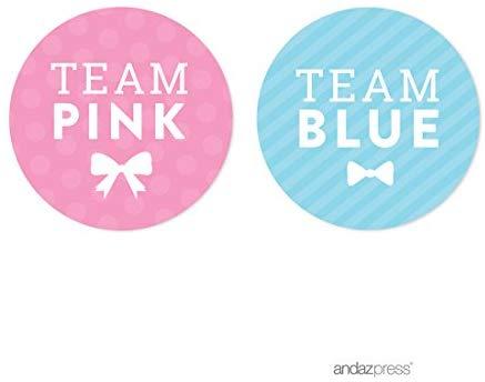 Pink and Blue Circle Logo - Amazon.com: Andaz Press Team Pink Team Blue Gender Reveal Baby ...