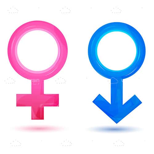 Pink and Blue Circle Logo - Pink and Blue Gender Icon Vectors, Icon