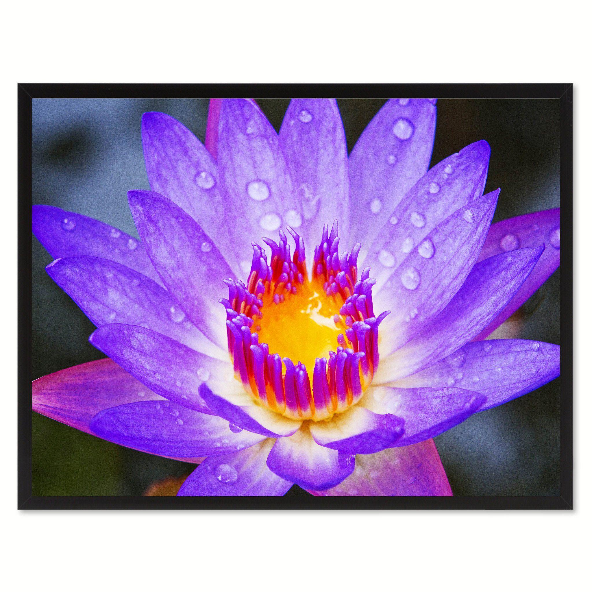Purple Lotus Flower Logo - Purple Lotus Flower Wall Art Home Décor Frame