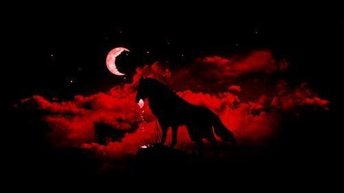 Black Wolf Red Moon Logo - Wolf, Wolf, Moon, Black, Night, Wolf Black, Wolf Moon, Red Red